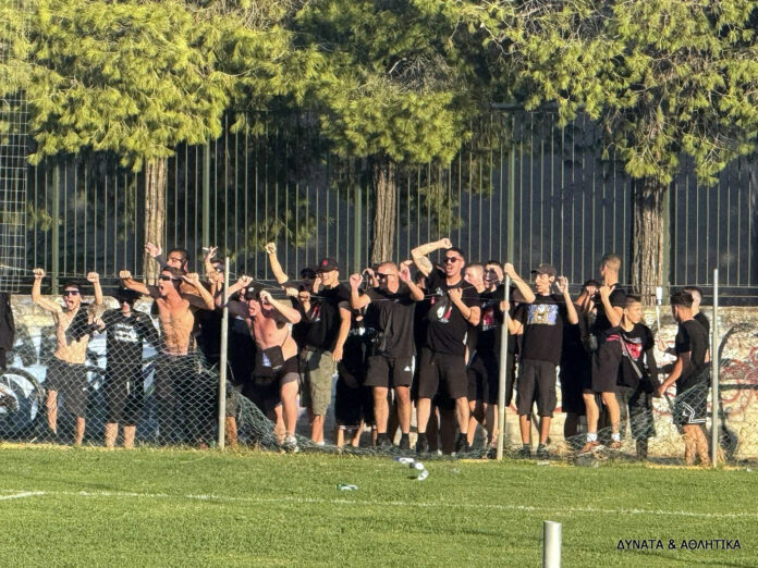 VANDALOI (8)